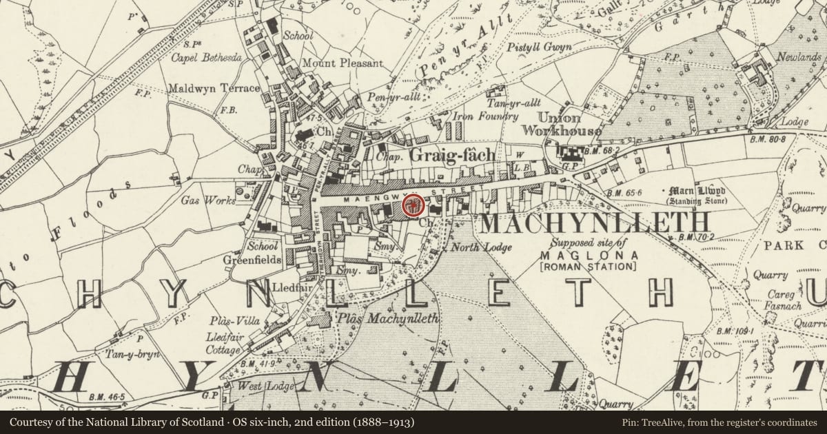 Ordnance Survey six-inch map, 2nd edition (1888–1913) covering the location of Domestic, Machynlleth, Powys, with a pin at the register's coordinates