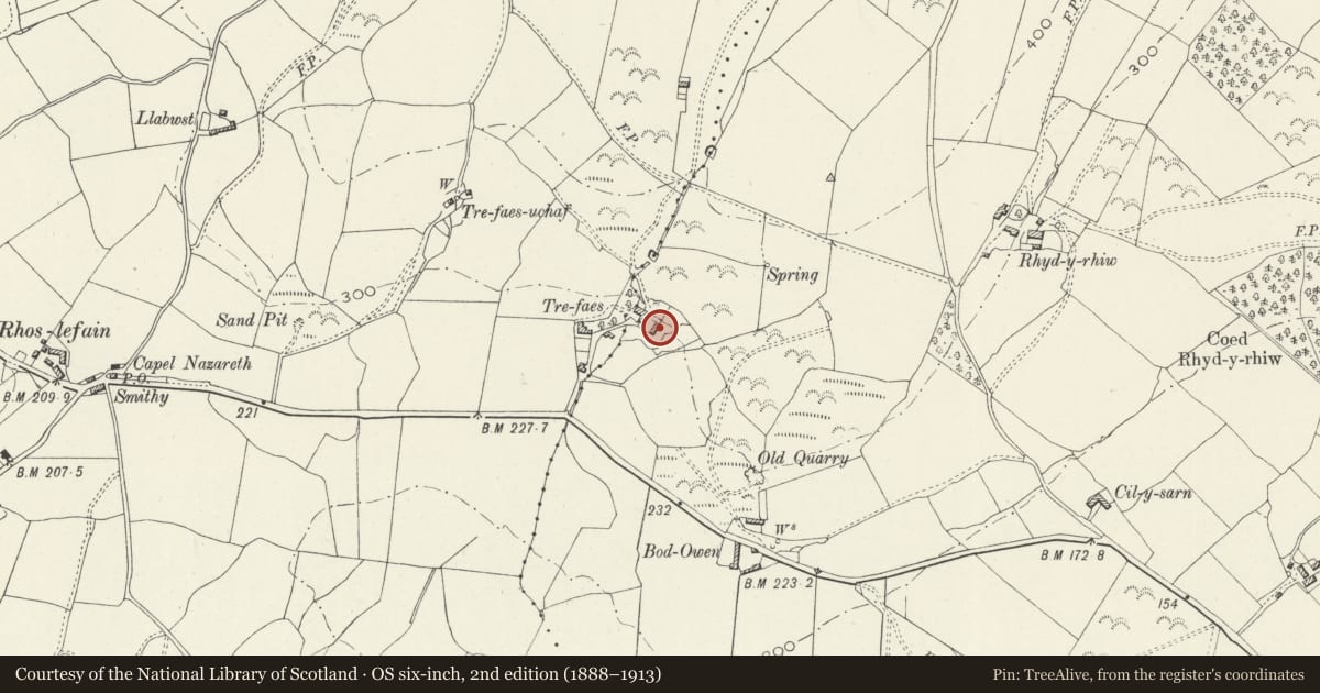 Ordnance Survey six-inch map, 2nd edition (1888–1913) covering the location of Cow house in farmyard at Trefaes, Llangelynin, Gwynedd, with a pin at the register's coordinates