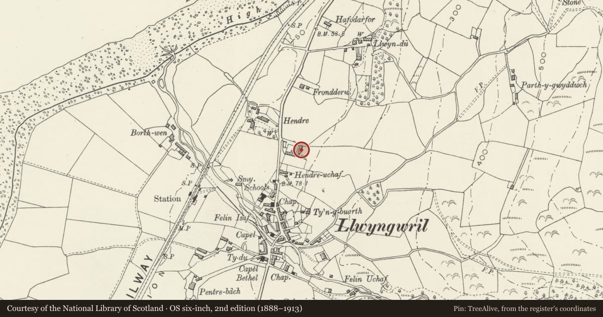 Ordnance Survey six-inch map, 2nd edition (1888–1913) covering the location of Cow house to SE of Hendre, Llangelynin, Gwynedd, with a pin at the register's coordinates
