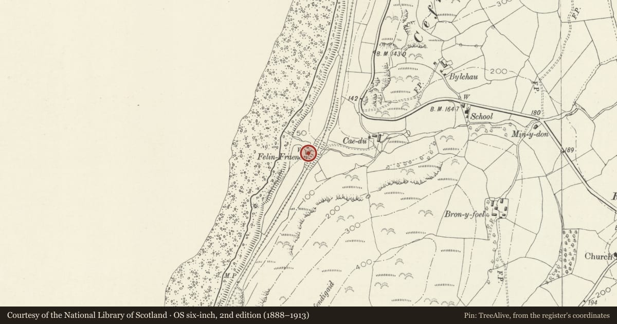 Ordnance Survey six-inch map, 2nd edition (1888–1913) covering the location of Felin Fraenan, Llangelynin, Gwynedd, with a pin at the register's coordinates