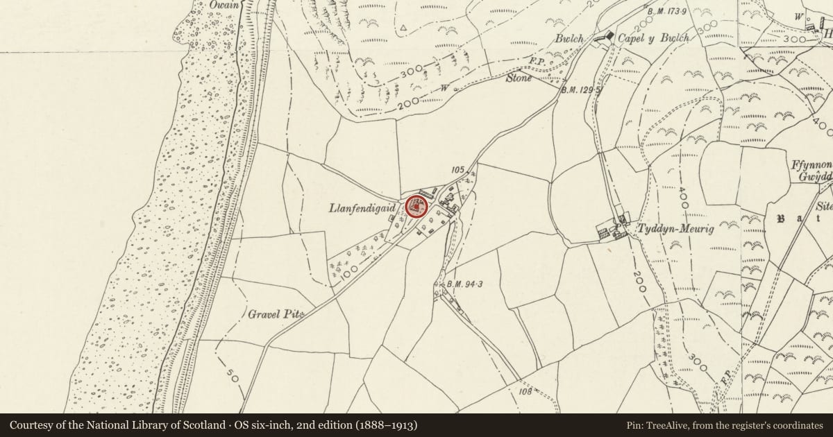 Ordnance Survey six-inch map, 2nd edition (1888–1913) covering the location of Llanfendigaid, Llangelynin, Gwynedd, with a pin at the register's coordinates
