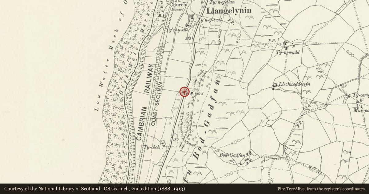 Ordnance Survey six-inch map, 2nd edition (1888–1913) covering the location of Milepost on A493, Llangelynin, Gwynedd, with a pin at the register's coordinates