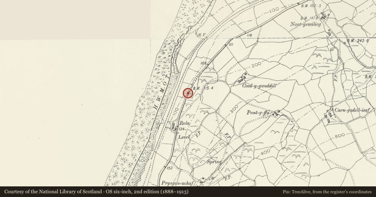 Ordnance Survey six-inch map, 2nd edition (1888–1913) covering the location of Milepost on A493, Llangelynin, Gwynedd, with a pin at the register's coordinates