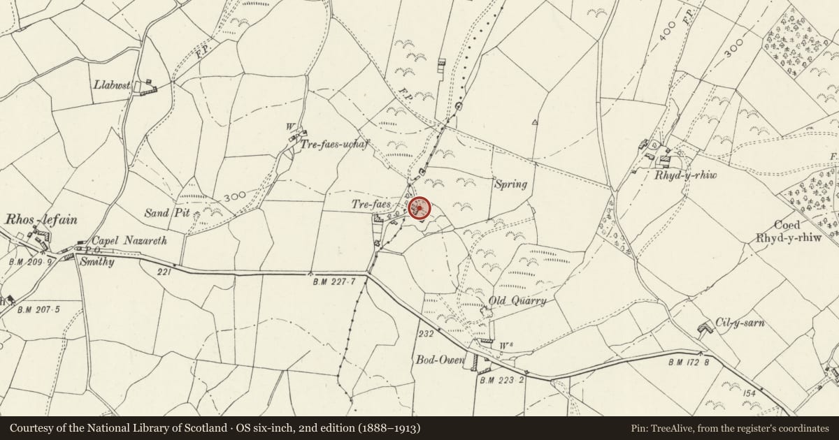 Ordnance Survey six-inch map, 2nd edition (1888–1913) covering the location of Multi-purpose farm buildings at Trefaes Farm, Llangelynin, Gwynedd, with a pin at the register's coordinates