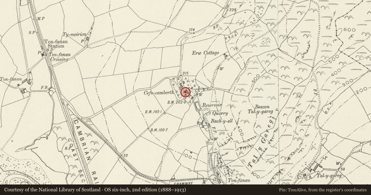 Ordnance Survey six-inch map, 2nd edition (1888–1913) covering the location of Stable at Cefn Camberth, Llangelynin, Gwynedd, with a pin at the register's coordinates