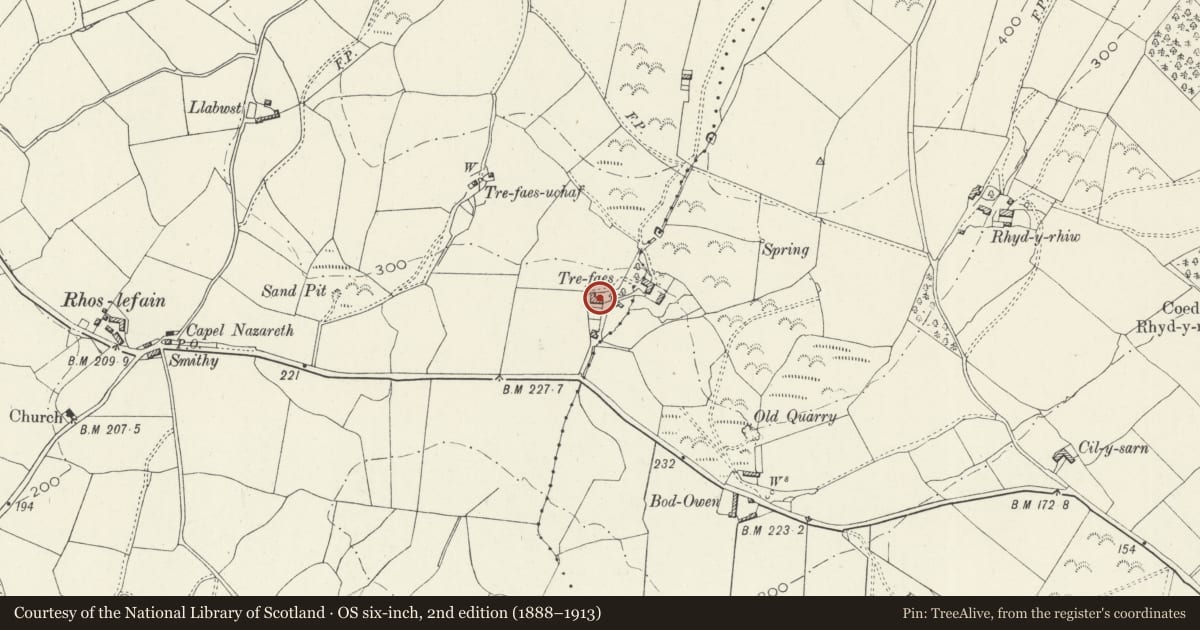 Ordnance Survey six-inch map, 2nd edition (1888–1913) covering the location of Trefaes, Llangelynin, Gwynedd, with a pin at the register's coordinates