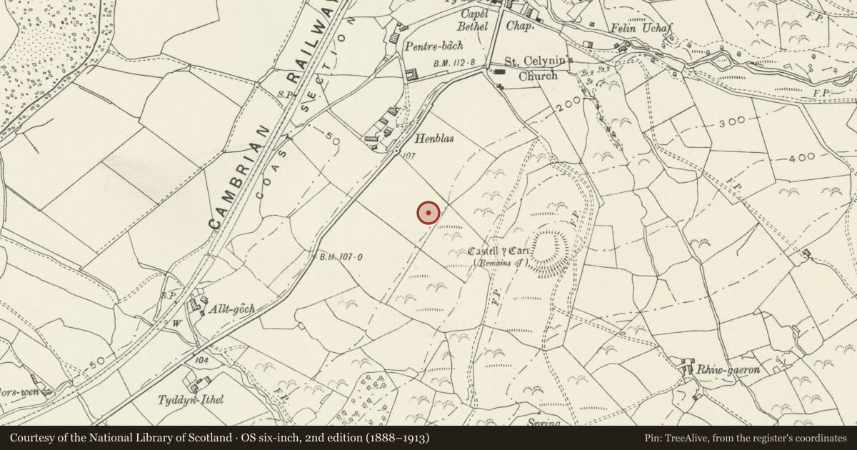 Ordnance Survey six-inch map, 2nd edition (1888–1913) covering the location of Ty Gwyn Outdoor Education Centre, Llangelynin, Gwynedd, with a pin at the register's coordinates