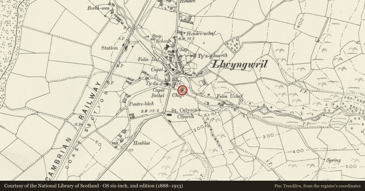 Ordnance Survey six-inch map, 2nd edition (1888–1913) covering the location of Ty Newydd, Llangelynin, Gwynedd, with a pin at the register's coordinates