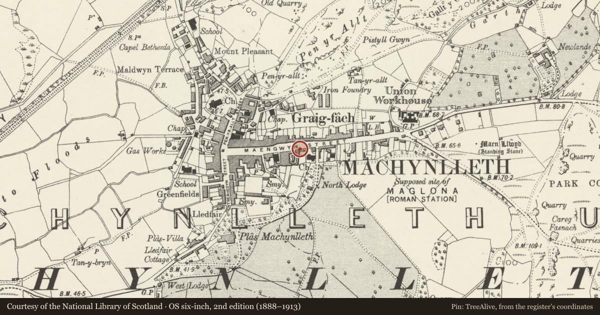 Ordnance Survey six-inch map, 2nd edition (1888–1913) covering the location of 54 Heol Maengwyn, Machynlleth, Powys, with a pin at the register's coordinates