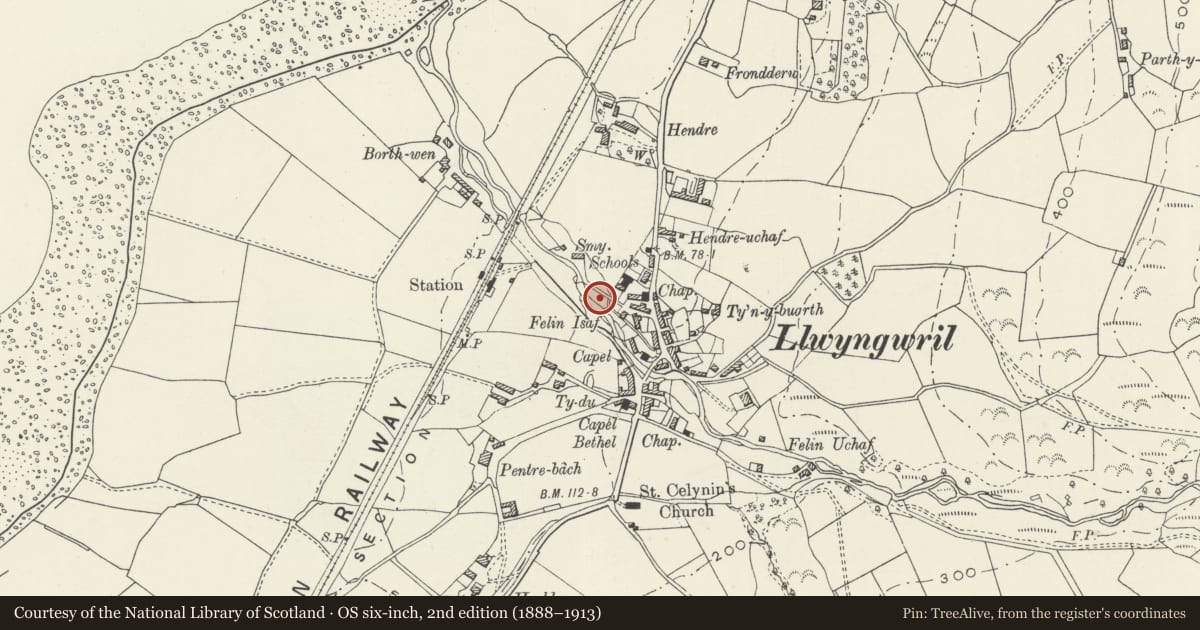 Ordnance Survey six-inch map, 2nd edition (1888–1913) covering the location of Tynant, Llangelynin, Gwynedd, with a pin at the register's coordinates