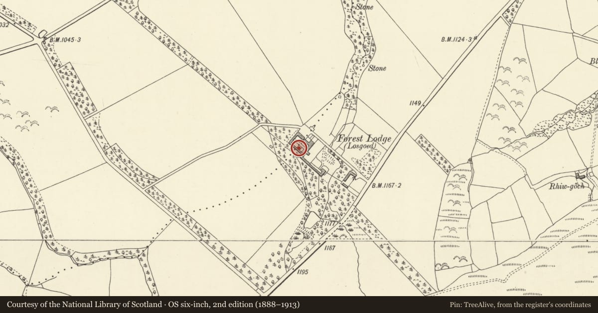 Ordnance Survey six-inch map, 2nd edition (1888–1913) covering the location of Group of model farm buildings at Forest Lodge, Glyn Tarell, Powys, with a pin at the register's coordinates