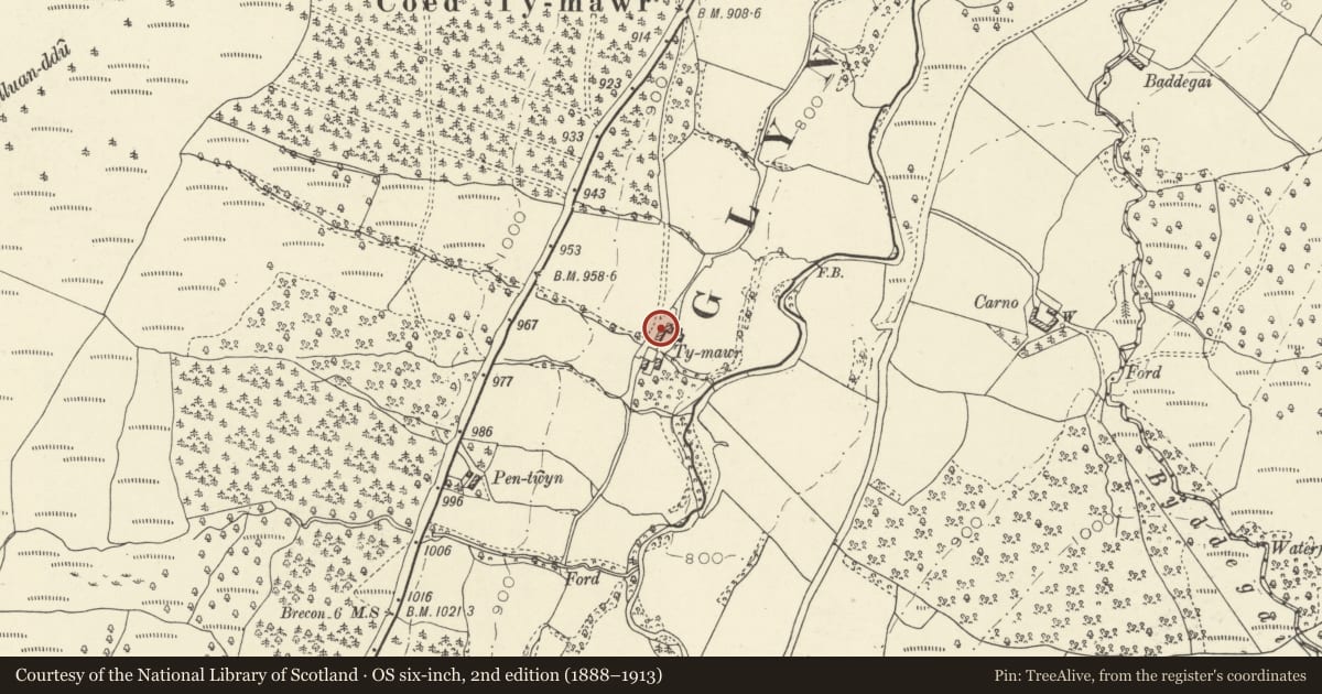 Ordnance Survey six-inch map, 2nd edition (1888–1913) covering the location of Barns at Ty Mawr, Glyn Tarell, Powys, with a pin at the register's coordinates