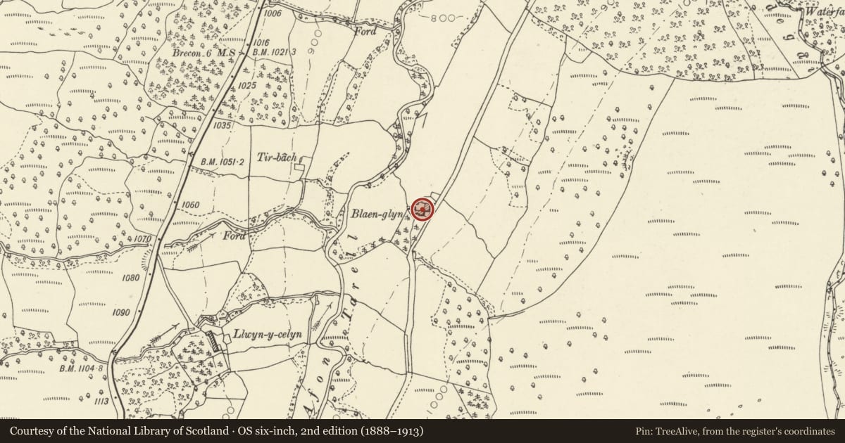Ordnance Survey six-inch map, 2nd edition (1888–1913) covering the location of Blaenglyn, Glyn Tarell, Powys, with a pin at the register's coordinates