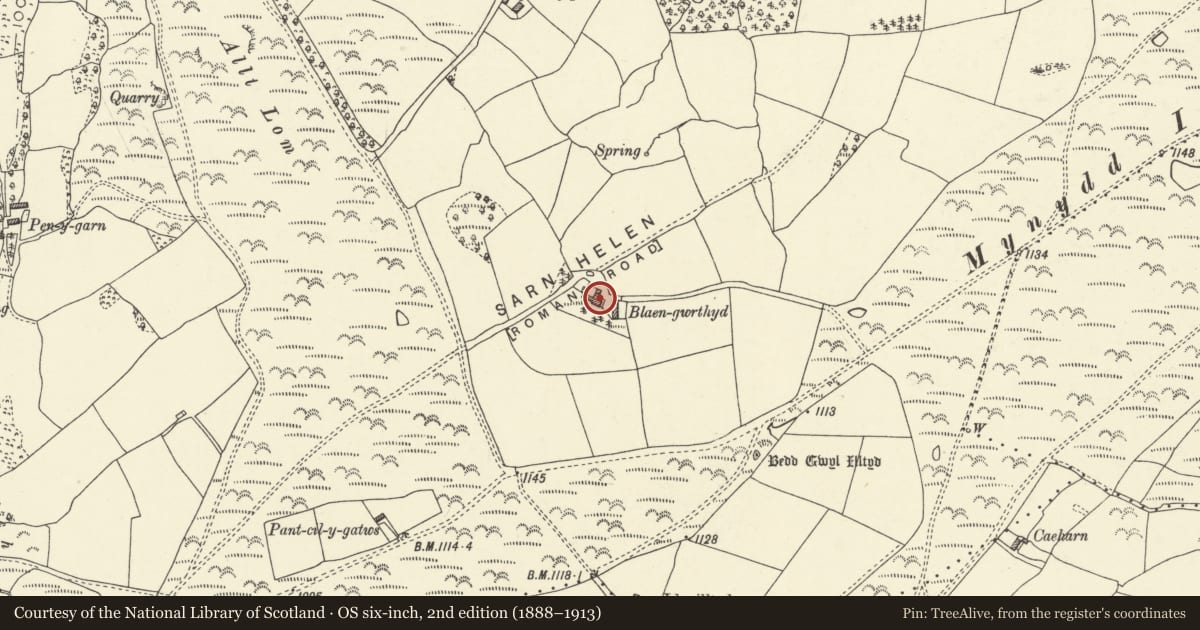Ordnance Survey six-inch map, 2nd edition (1888–1913) covering the location of Blaengwrthyd, Glyn Tarell, Powys, with a pin at the register's coordinates