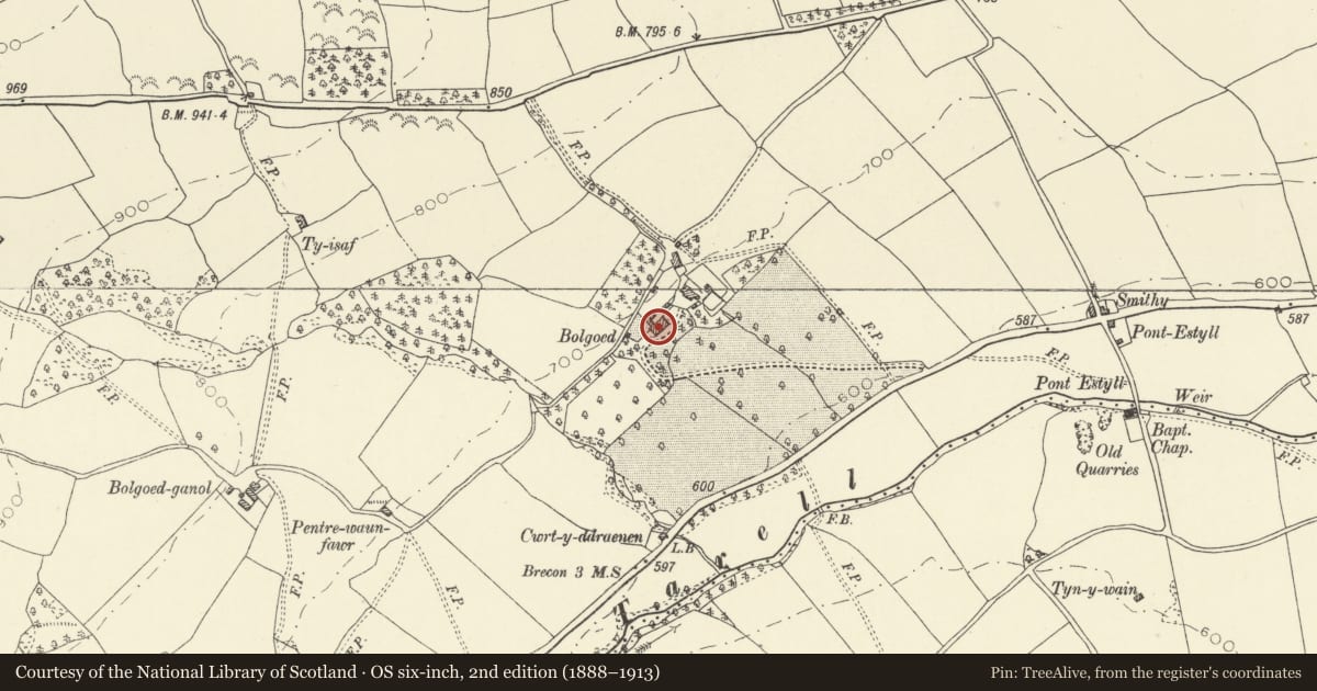 Ordnance Survey six-inch map, 2nd edition (1888–1913) covering the location of Bolgoed, Glyn Tarell, Powys, with a pin at the register's coordinates