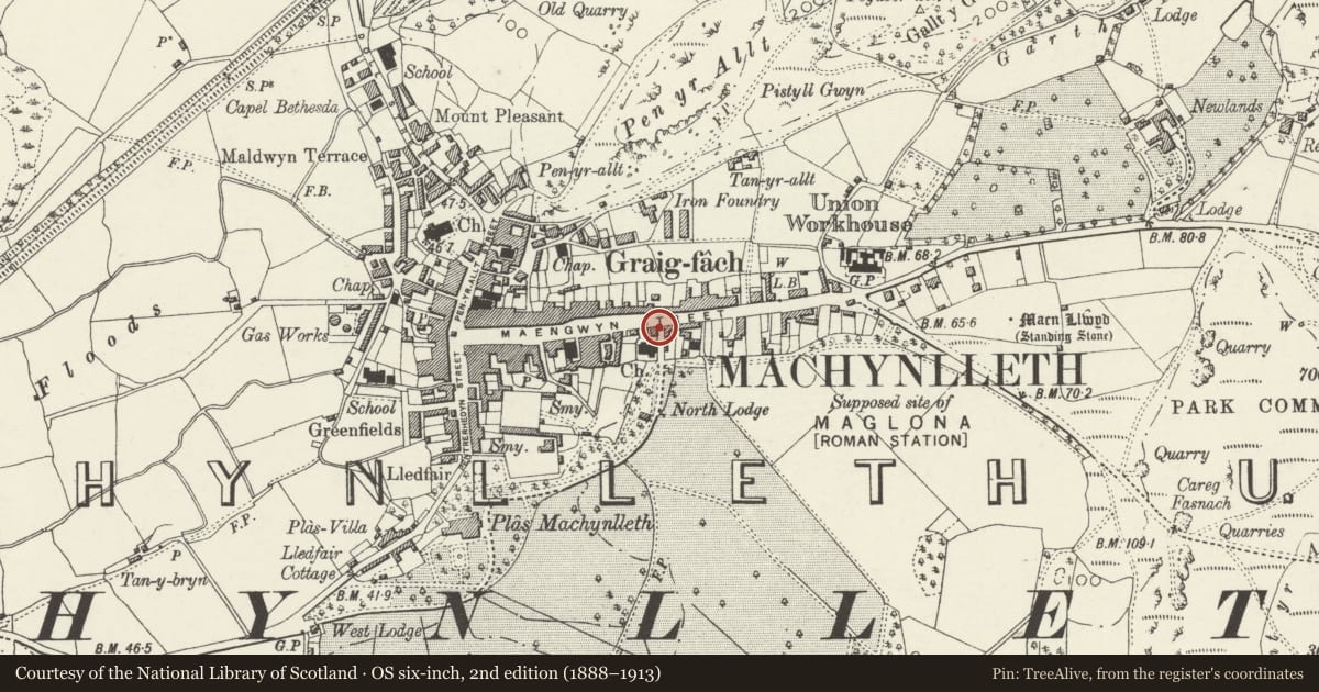 Ordnance Survey six-inch map, 2nd edition (1888–1913) covering the location of including attached Wall Flanking Drive, Machynlleth, Powys, with a pin at the register's coordinates