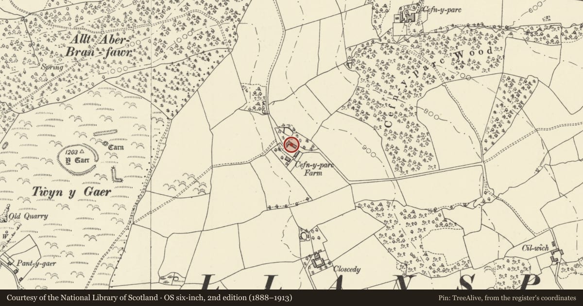 Ordnance Survey six-inch map, 2nd edition (1888–1913) covering the location of Cefn Uchaf, Glyn Tarell, Powys, with a pin at the register's coordinates