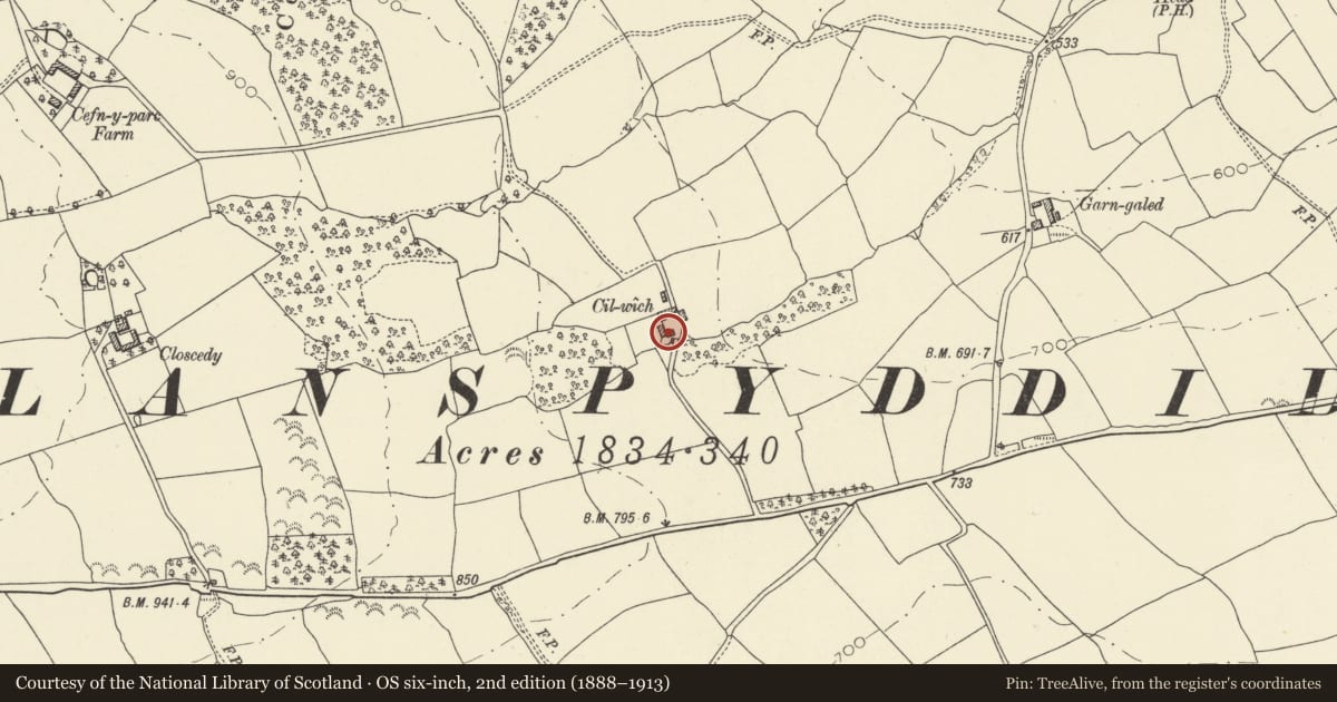 Ordnance Survey six-inch map, 2nd edition (1888–1913) covering the location of Cilwych, Glyn Tarell, Powys, with a pin at the register's coordinates