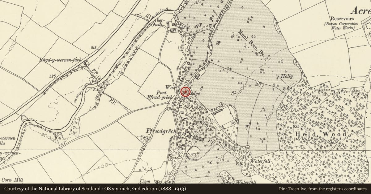 Ordnance Survey six-inch map, 2nd edition (1888–1913) covering the location of Gatepiers, with flanking walls and railings, to Ffrwdgrech, Glyn Tarell, Powys, with a pin at the register's coordinates