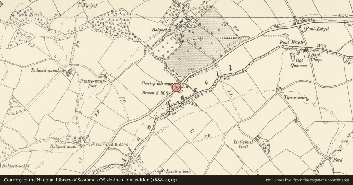 Ordnance Survey six-inch map, 2nd edition (1888–1913) covering the location of Milestone on A 470, Glyn Tarell, Powys, with a pin at the register's coordinates