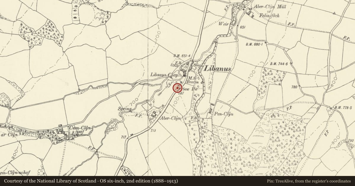 Ordnance Survey six-inch map, 2nd edition (1888–1913) covering the location of Milestone on A 470, Glyn Tarell, Powys, with a pin at the register's coordinates