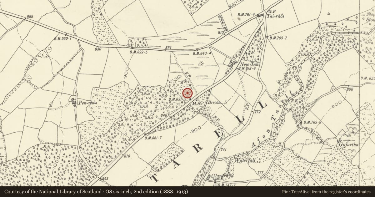 Ordnance Survey six-inch map, 2nd edition (1888–1913) covering the location of Milestone on A 470, Glyn Tarell, Powys, with a pin at the register's coordinates