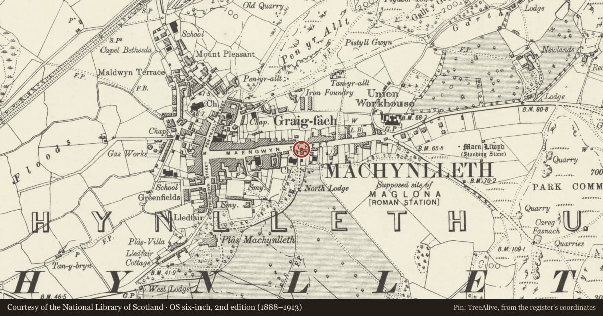 Ordnance Survey six-inch map, 2nd edition (1888–1913) covering the location of Gates and gate Piers at Northen Drive entry to Plas Machynlleth, Powys, with a pin at the register's coordinates