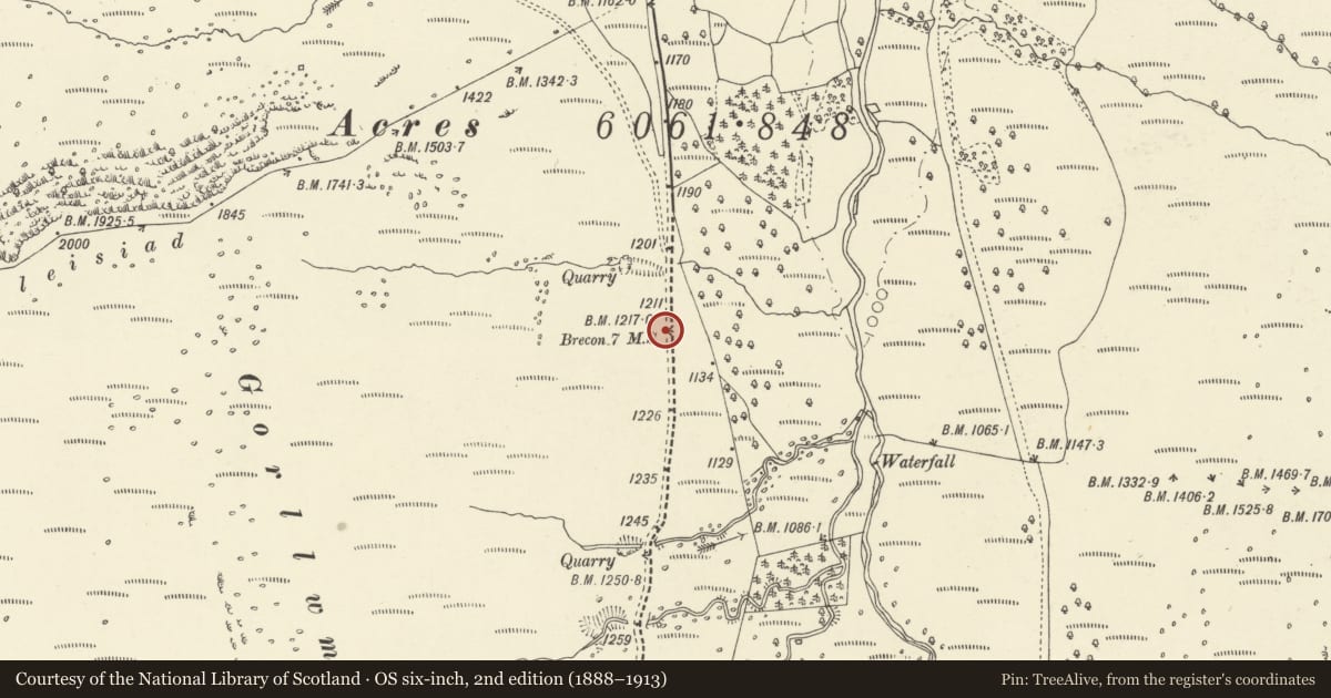 Ordnance Survey six-inch map, 2nd edition (1888–1913) covering the location of Milestone on A 470, Glyn Tarell, Powys, with a pin at the register's coordinates