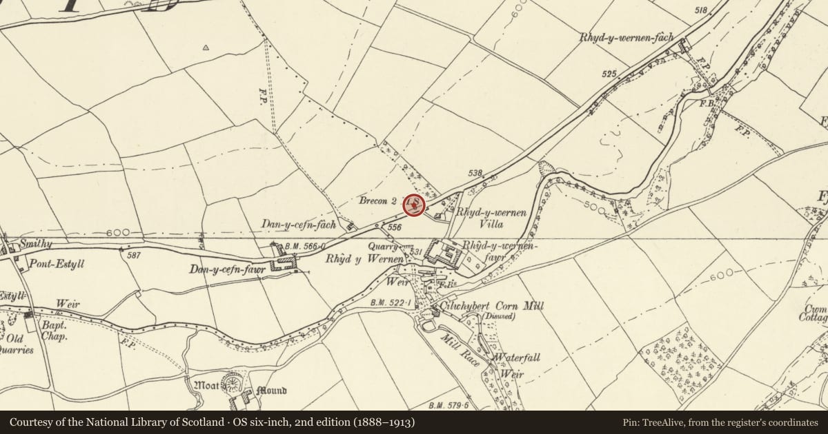 Ordnance Survey six-inch map, 2nd edition (1888–1913) covering the location of Milestone on A 470, Glyn Tarell, Powys, with a pin at the register's coordinates