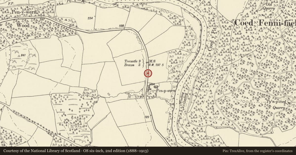 Ordnance Survey six-inch map, 2nd edition (1888–1913) covering the location of Milestone on A40, Glyn Tarell, Powys, with a pin at the register's coordinates
