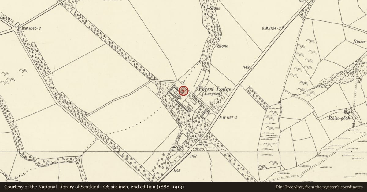 Ordnance Survey six-inch map, 2nd edition (1888–1913) covering the location of No. 5 Forest Lodge Cottages, Glyn Tarell, Powys, with a pin at the register's coordinates