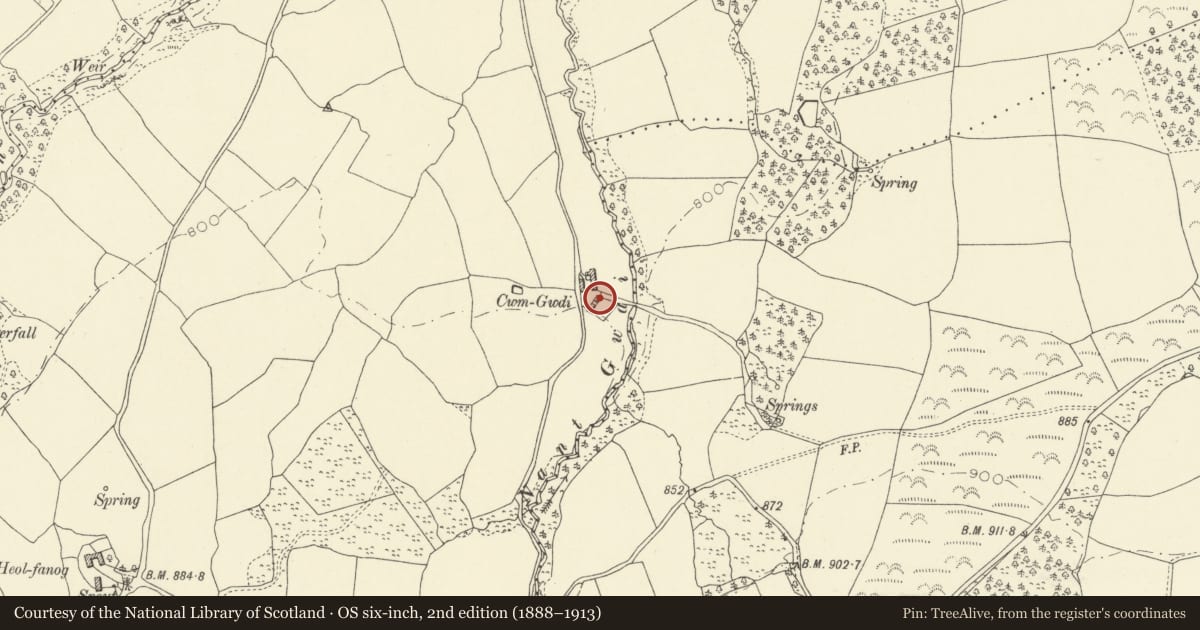 Ordnance Survey six-inch map, 2nd edition (1888–1913) covering the location of Outbuilding facing Cwm Gwdi, Glyn Tarell, Powys, with a pin at the register's coordinates