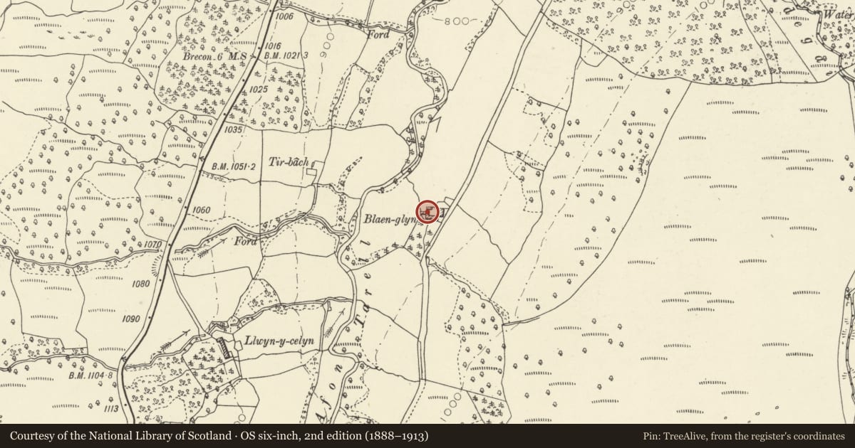 Ordnance Survey six-inch map, 2nd edition (1888–1913) covering the location of Outbuilding on W side of yard at Blaenglyn, Glyn Tarell, Powys, with a pin at the register's coordinates