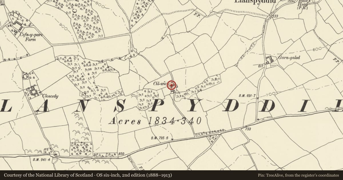 Ordnance Survey six-inch map, 2nd edition (1888–1913) covering the location of Outbuildings at Cilwych, Glyn Tarell, Powys, with a pin at the register's coordinates