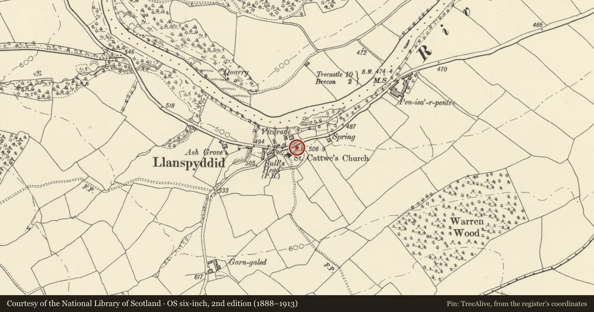 Ordnance Survey six-inch map, 2nd edition (1888–1913) covering the location of Pearce of Ffrwdgrech tomb and railings in churchyard, Glyn Tarell, Powys, with a pin at the register's coordinates