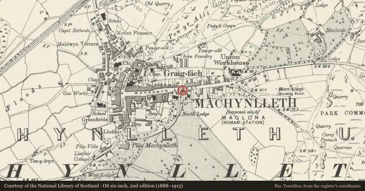Ordnance Survey six-inch map, 2nd edition (1888–1913) covering the location of Including attached wall flanking drive, Machynlleth, Powys, with a pin at the register's coordinates