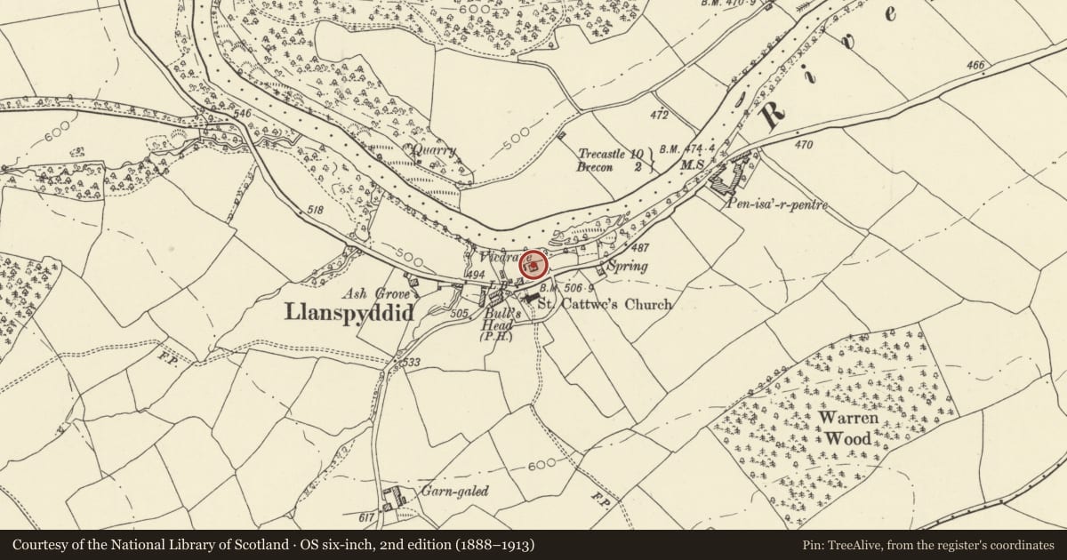 Ordnance Survey six-inch map, 2nd edition (1888–1913) covering the location of The Old Vicarage, Glyn Tarell, Powys, with a pin at the register's coordinates