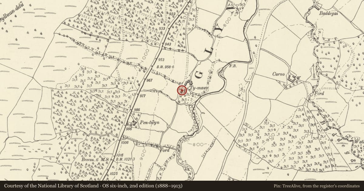 Ordnance Survey six-inch map, 2nd edition (1888–1913) covering the location of Ty Mawr, Glyn Tarell, Powys, with a pin at the register's coordinates