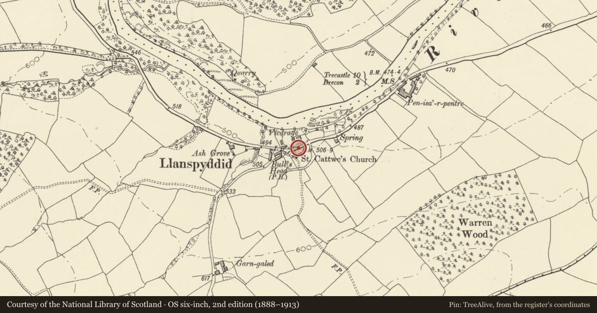 Ordnance Survey six-inch map, 2nd edition (1888–1913) covering the location of Wall on N side of churchyard, Glyn Tarell, Powys, with a pin at the register's coordinates