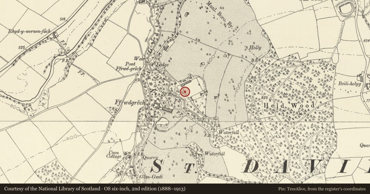 Ordnance Survey six-inch map, 2nd edition (1888–1913) covering the location of Enclosing walls of Walled Garden at Ffrwdgrech, Glyn Tarell, Powys, with a pin at the register's coordinates