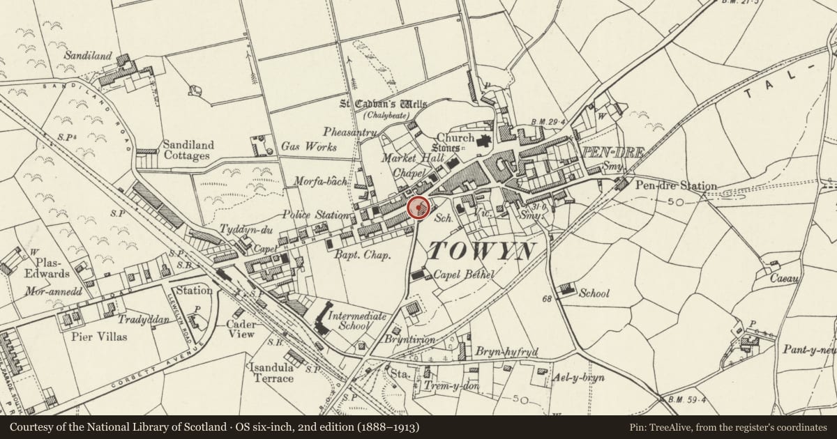 Ordnance Survey six-inch map, 2nd edition (1888–1913) covering the location of Boer War Memorial, Tywyn, Gwynedd, with a pin at the register's coordinates