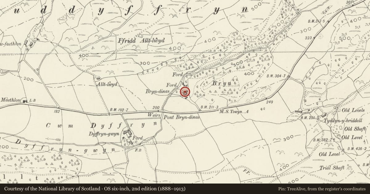 Ordnance Survey six-inch map, 2nd edition (1888–1913) covering the location of Cow house and hay store at Bryndinas, Tywyn, Gwynedd, with a pin at the register's coordinates