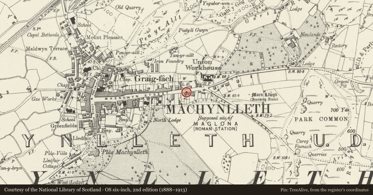 Ordnance Survey six-inch map, 2nd edition (1888–1913) covering the location of 94 Heol Maengwyn, Machynlleth, Powys, with a pin at the register's coordinates
