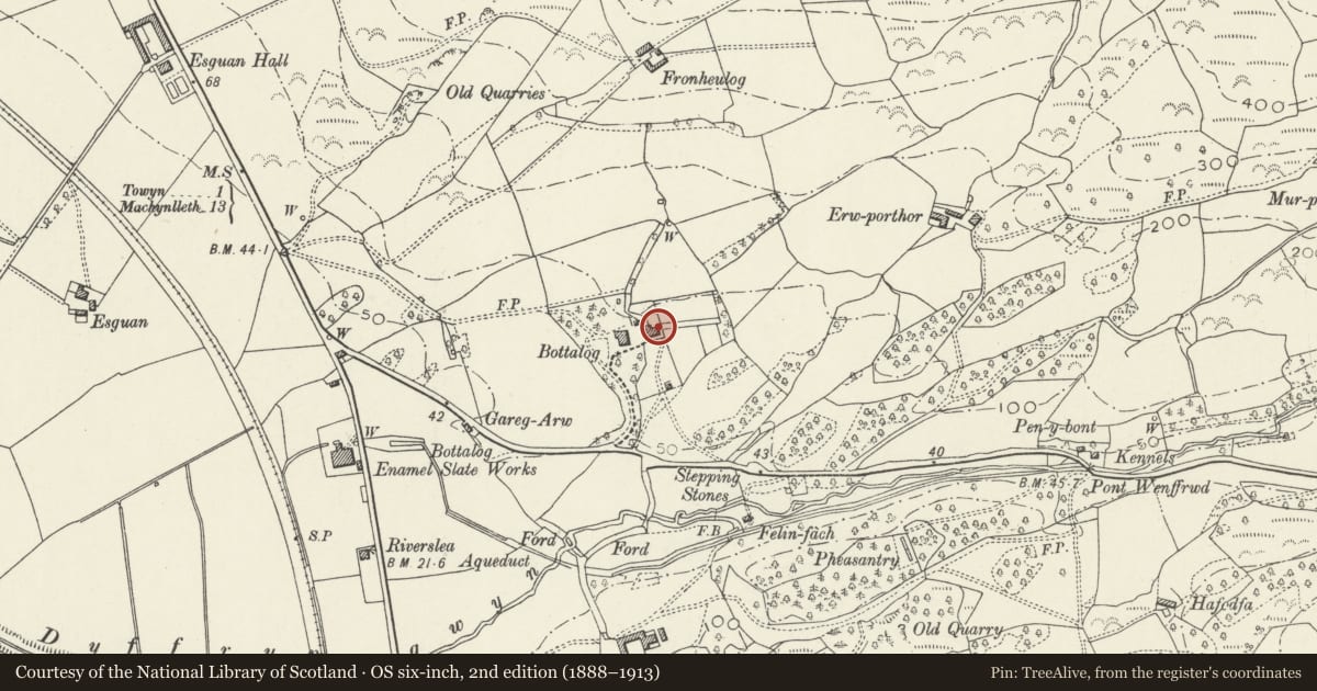 Ordnance Survey six-inch map, 2nd edition (1888–1913) covering the location of Former coach house and stables at Bod Talog, Tywyn, Gwynedd, with a pin at the register's coordinates
