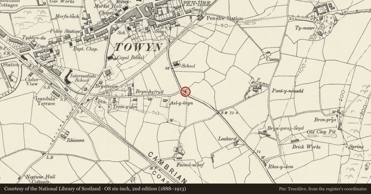 Ordnance Survey six-inch map, 2nd edition (1888–1913) covering the location of Memorial at entrance to War Memorial Cottage Hospital, Tywyn, Gwynedd, with a pin at the register's coordinates