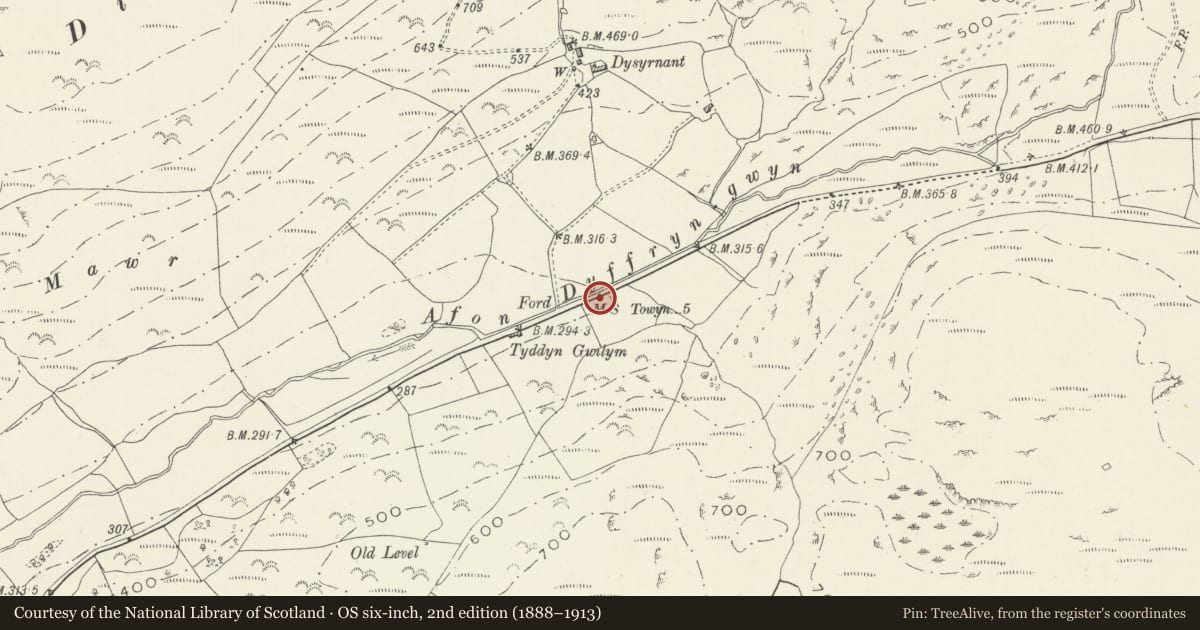 Ordnance Survey six-inch map, 2nd edition (1888–1913) covering the location of Milestone on minor road through Cwm Maethlon, Tywyn, Gwynedd, with a pin at the register's coordinates