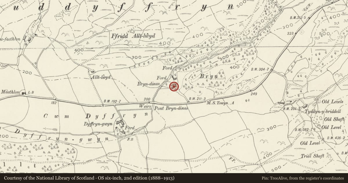 Ordnance Survey six-inch map, 2nd edition (1888–1913) covering the location of Multi-purpose farm range at Bryndinas, Tywyn, Gwynedd, with a pin at the register's coordinates