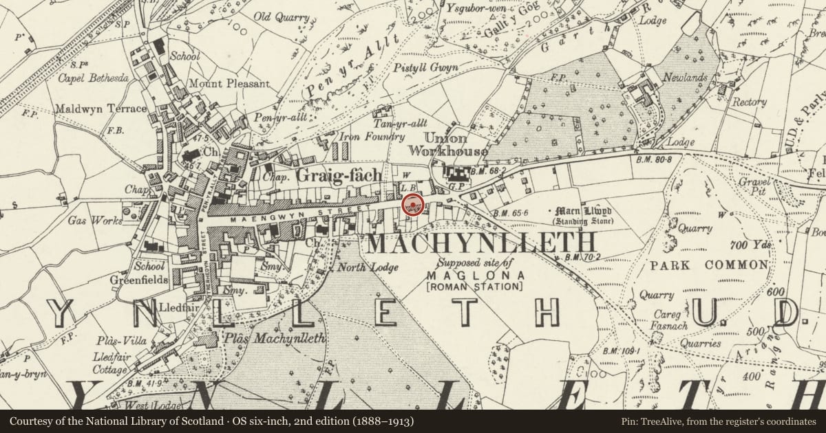 Ordnance Survey six-inch map, 2nd edition (1888–1913) covering the location of 96 Heol Maengwyn, Machynlleth, Powys, with a pin at the register's coordinates