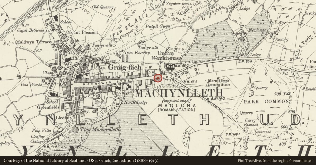 Ordnance Survey six-inch map, 2nd edition (1888–1913) covering the location of The Court House, Machynlleth, Powys, with a pin at the register's coordinates