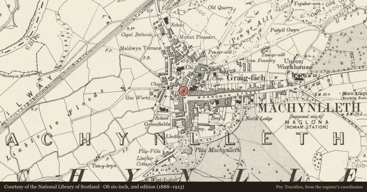 Ordnance Survey six-inch map, 2nd edition (1888–1913) covering the location of Wynnstay House, Machynlleth, Powys, with a pin at the register's coordinates